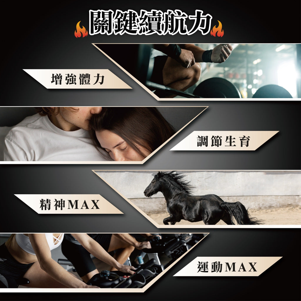 TOP BLACK MACA 頂級黑瑪卡